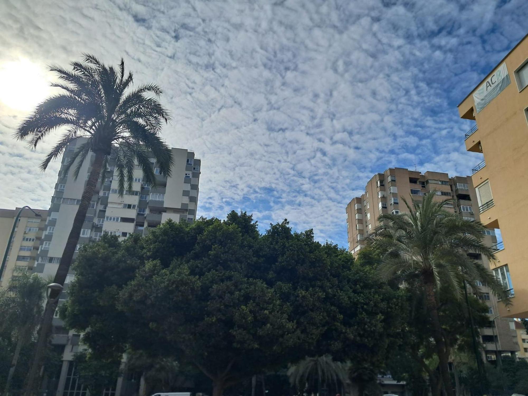 Apartment Apartment, Avenida Andalucia